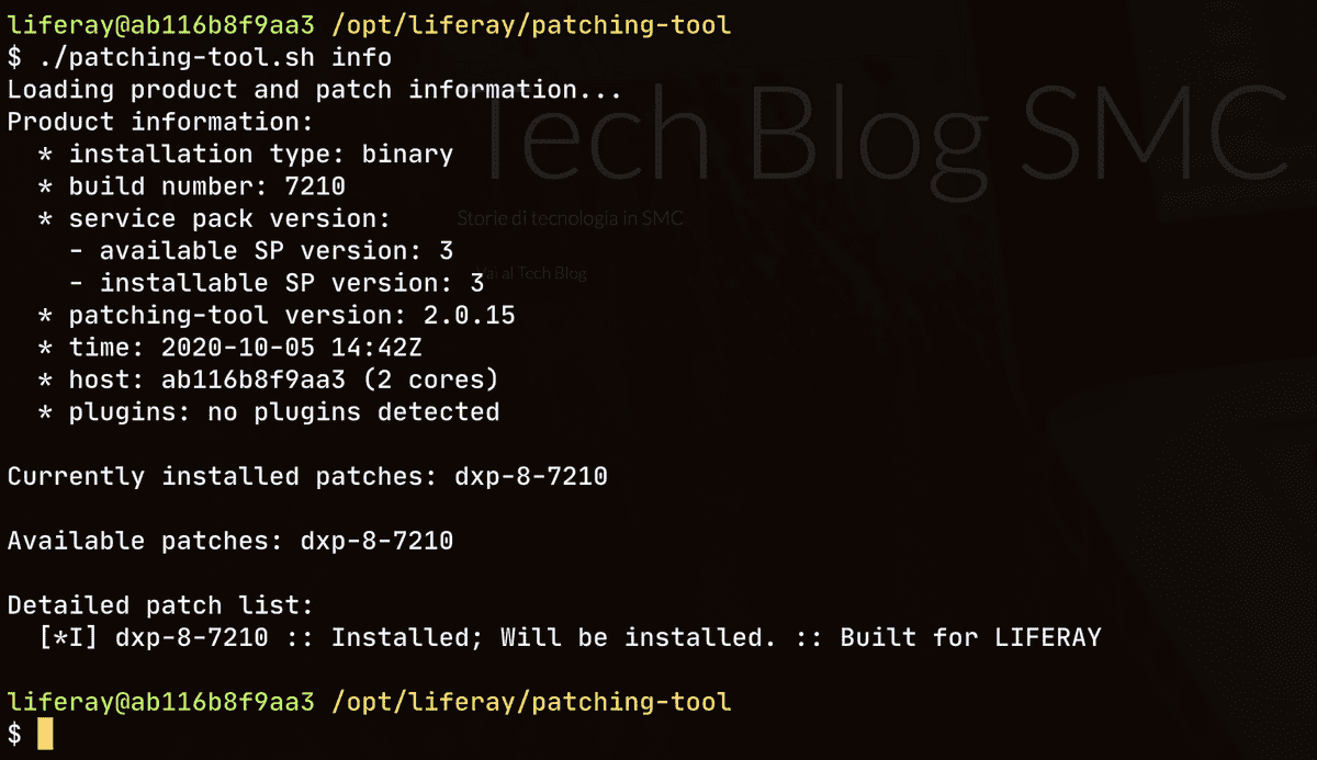 Figure 19 - Verifying that the Fix Pack has been installed using the patching-tool.sh info command