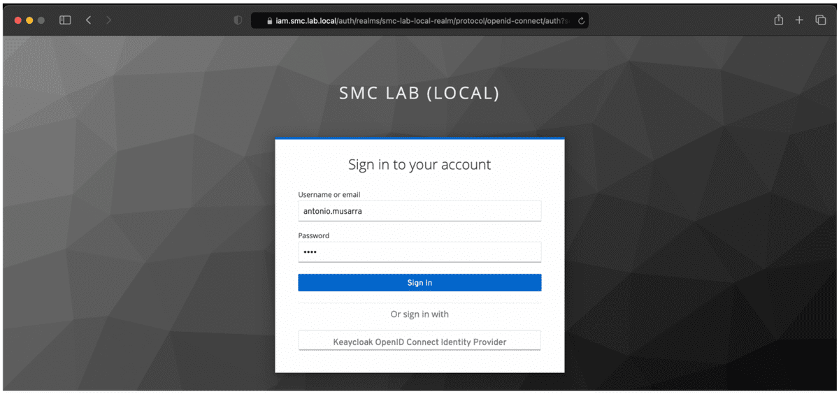 Figure 19 - Login page on Keycloak for the specific Realm