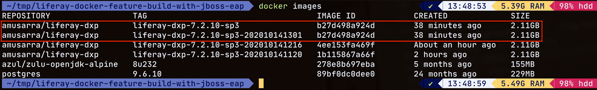 Figura 7 - Verifica della nuova immagine Docker Liferay DXP + JBoss EAP